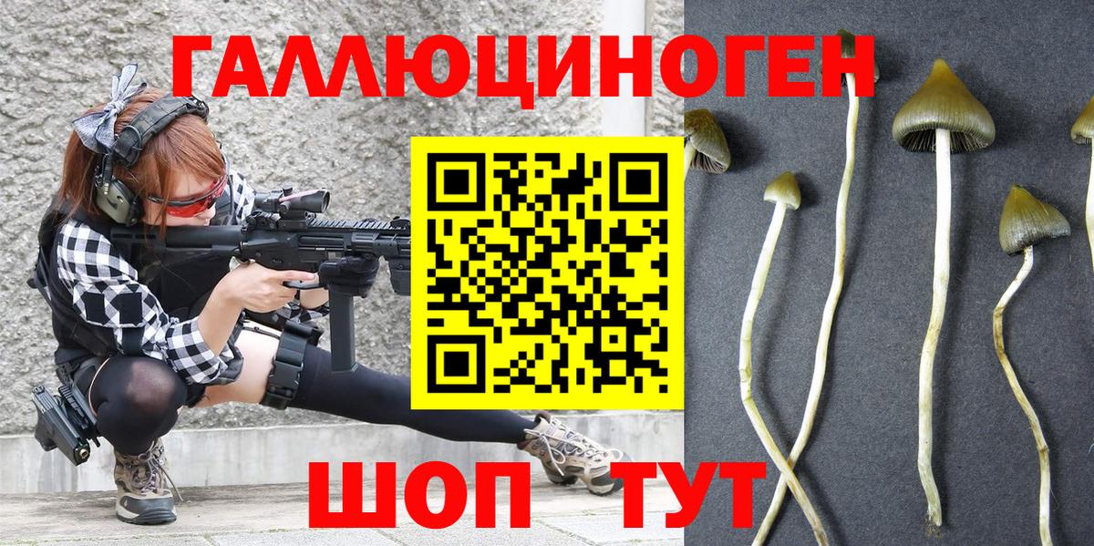 Коммунар  Псилоцибиновые грибы мухоморы  Вход с VPN  Псилоцибиновые грибы мицелий 