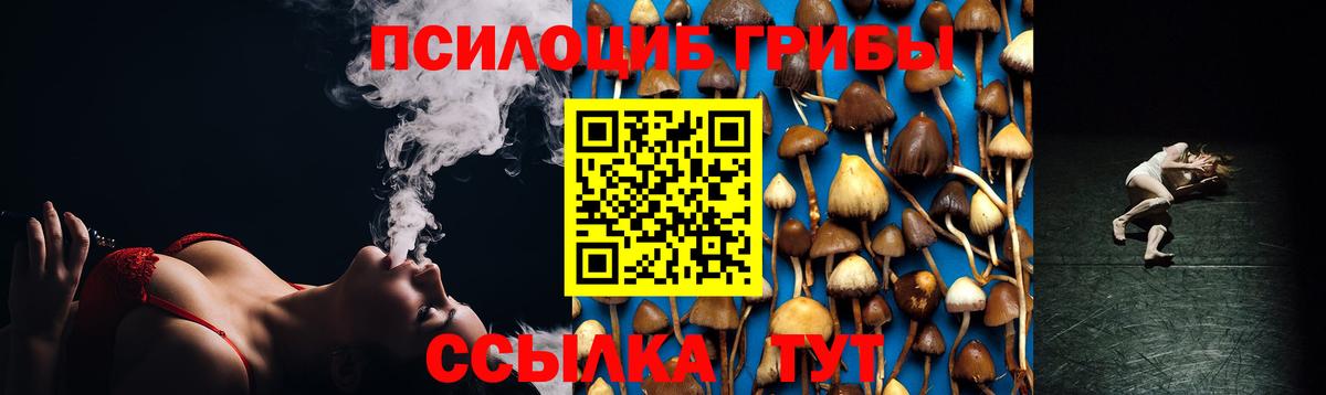 Галлюциногенные грибы прущие грибы Коммунар